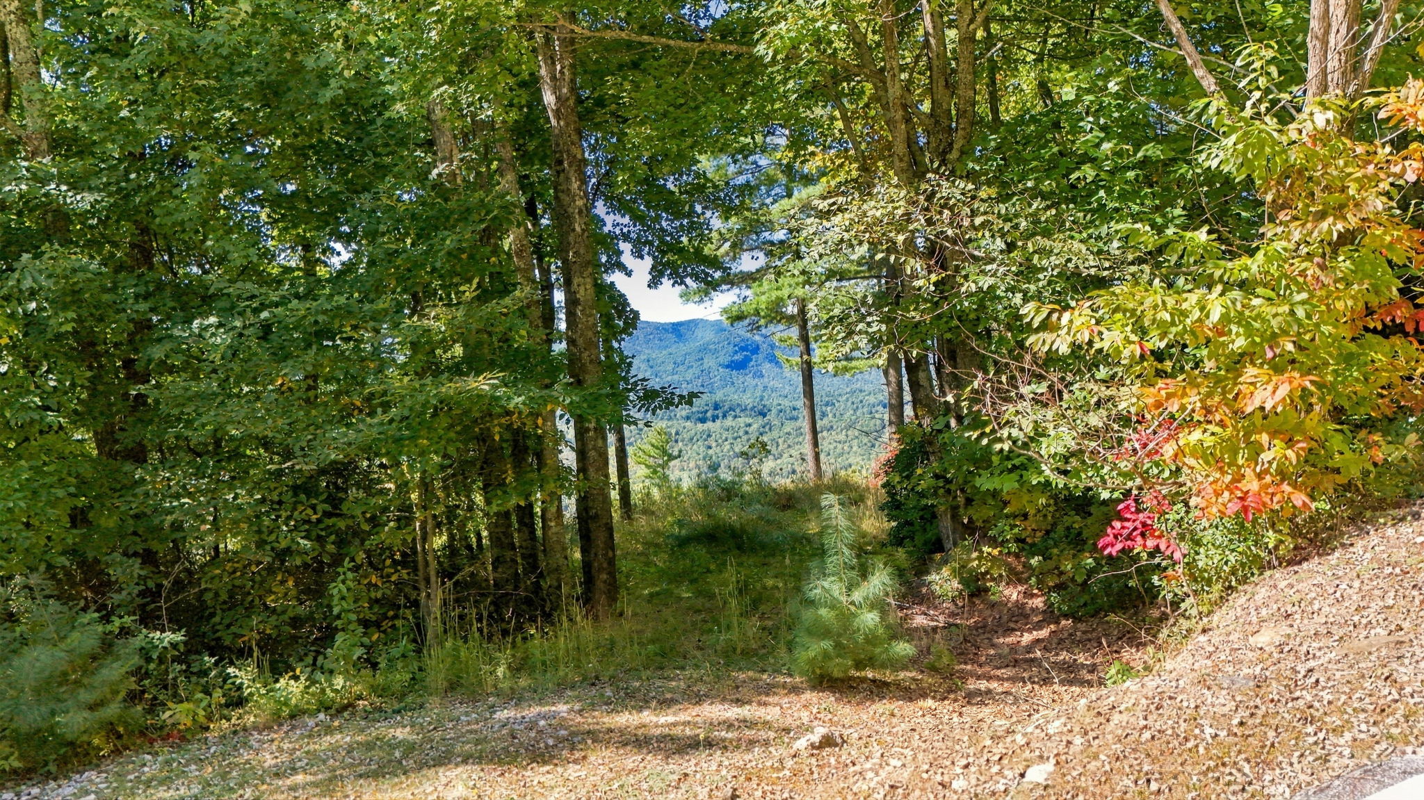 20 Whitetail Drive