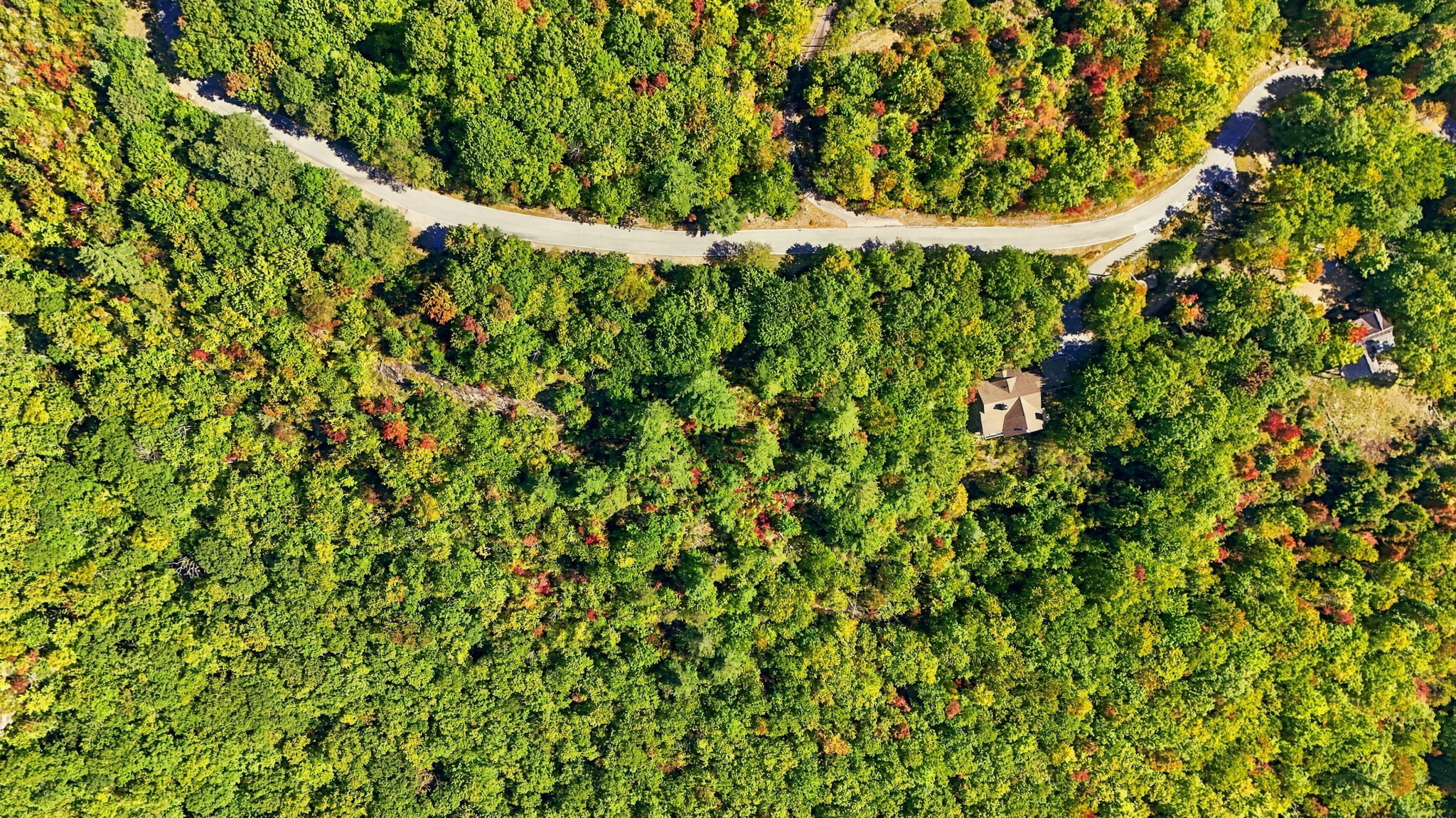 20 Whitetail Drive