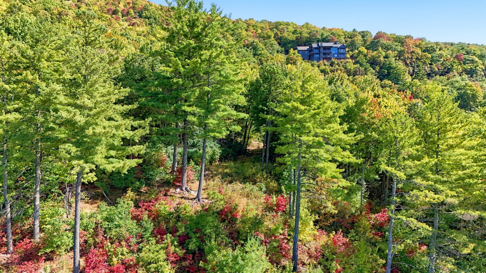 20 Whitetail Drive