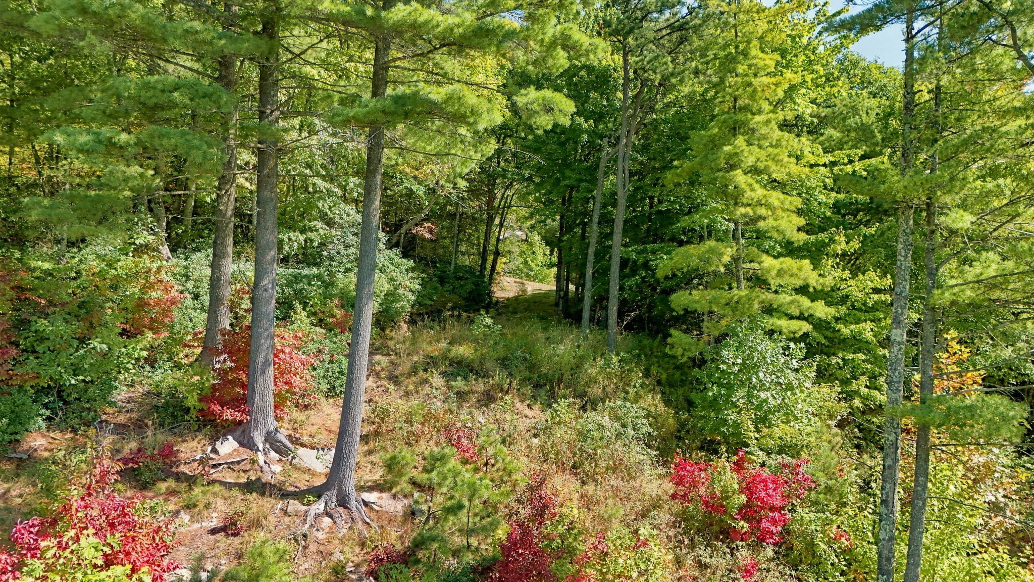 20 Whitetail Drive
