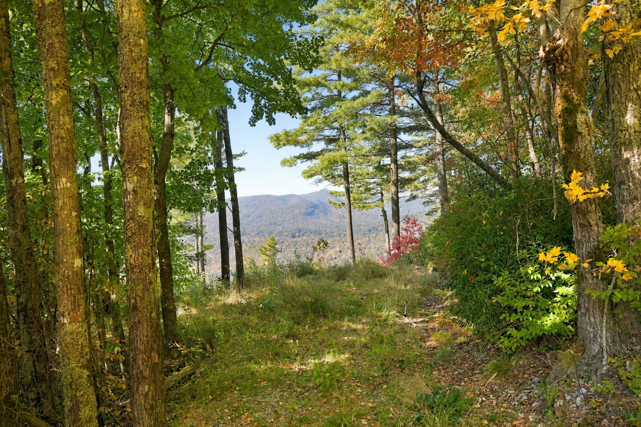 20 Whitetail Drive