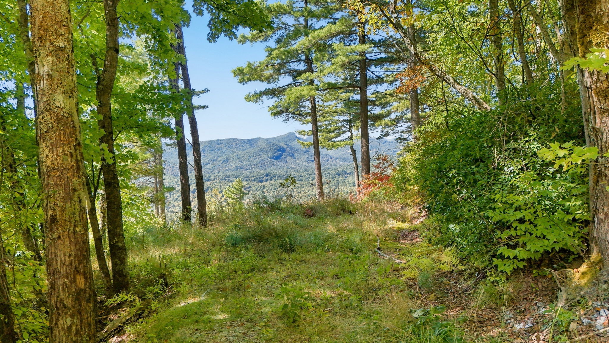 20 Whitetail Drive