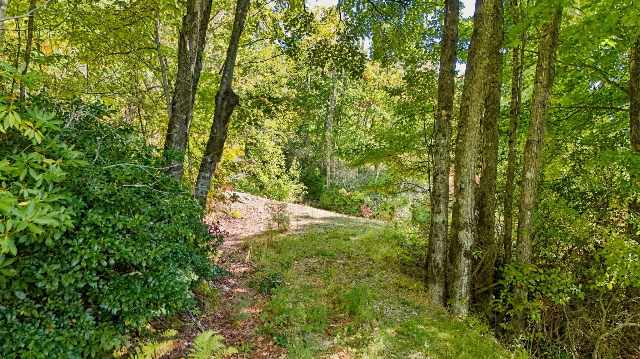 20 Whitetail Drive