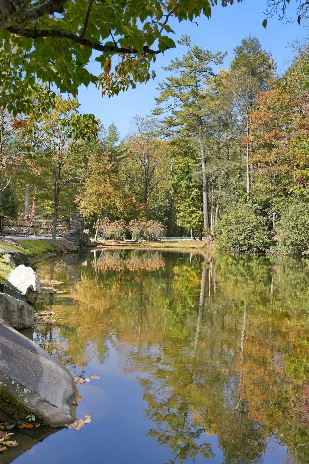20 Whitetail Drive