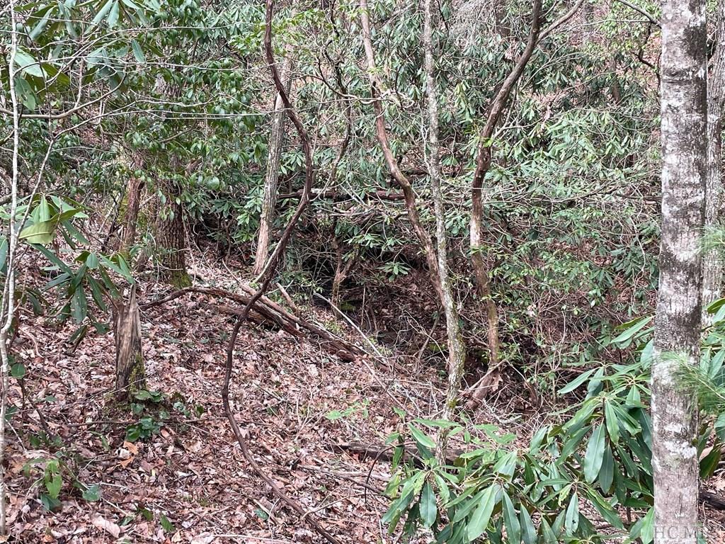 Lot 51 Toxaway Lane