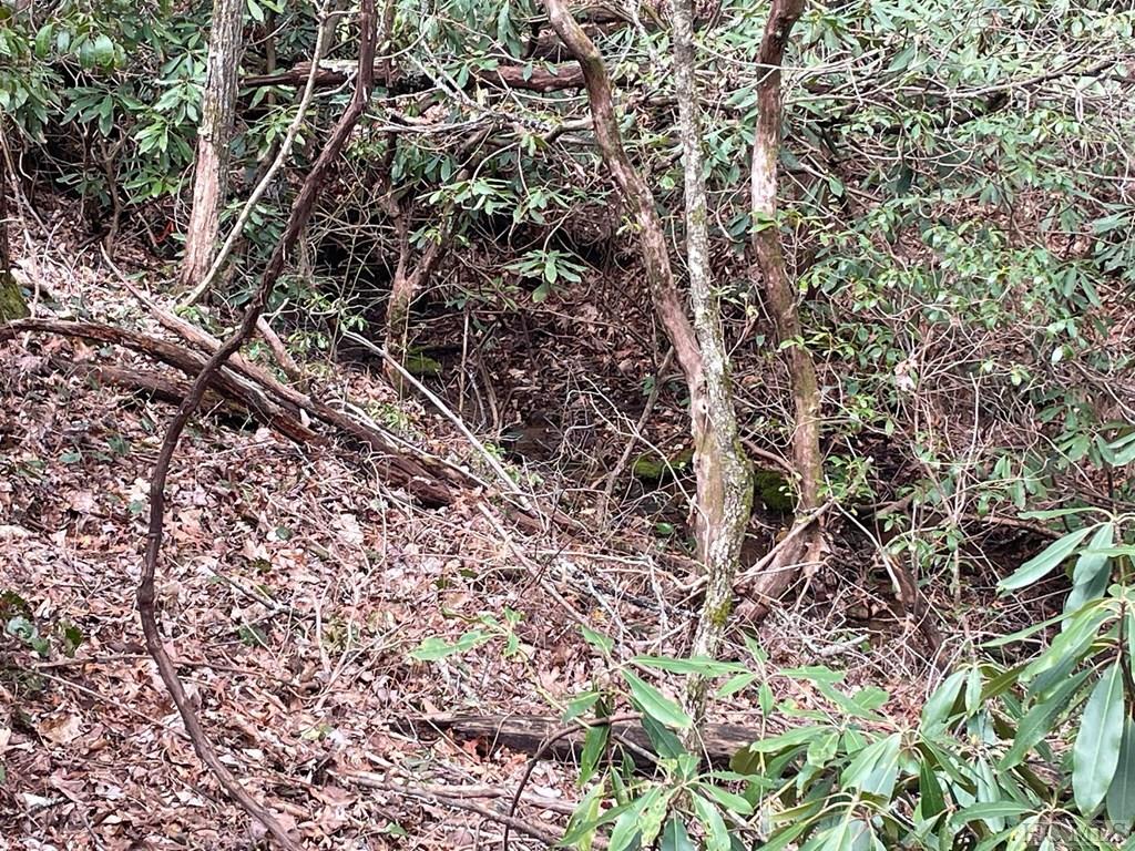 Lot 51 Toxaway Lane