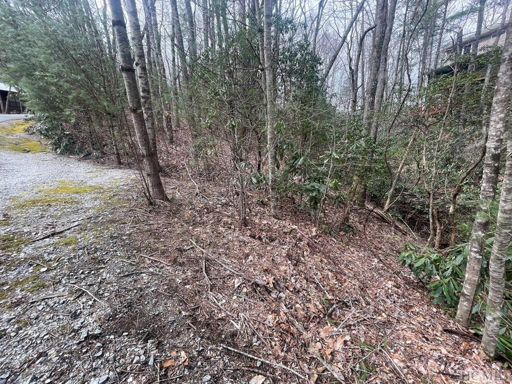 Lot 51 Toxaway Lane