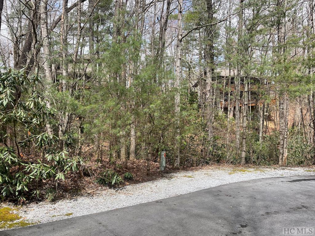 Lot 51 Toxaway Lane