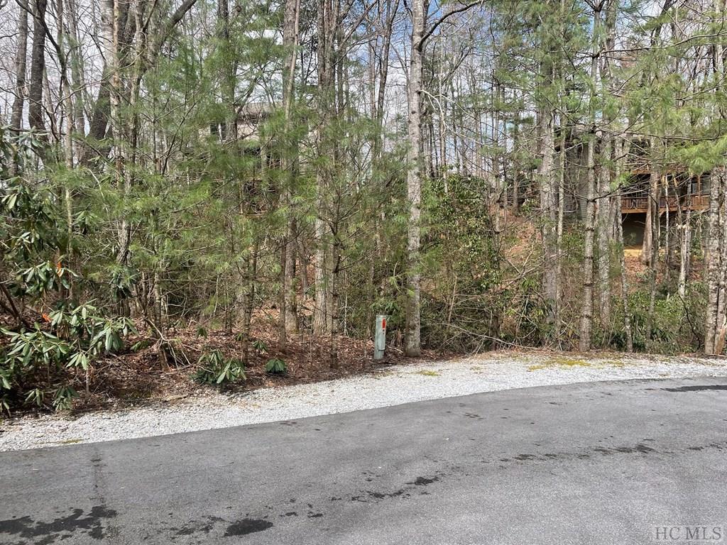 Lot 51 Toxaway Lane