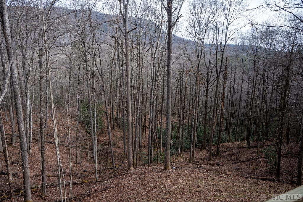 181 Narrows Road