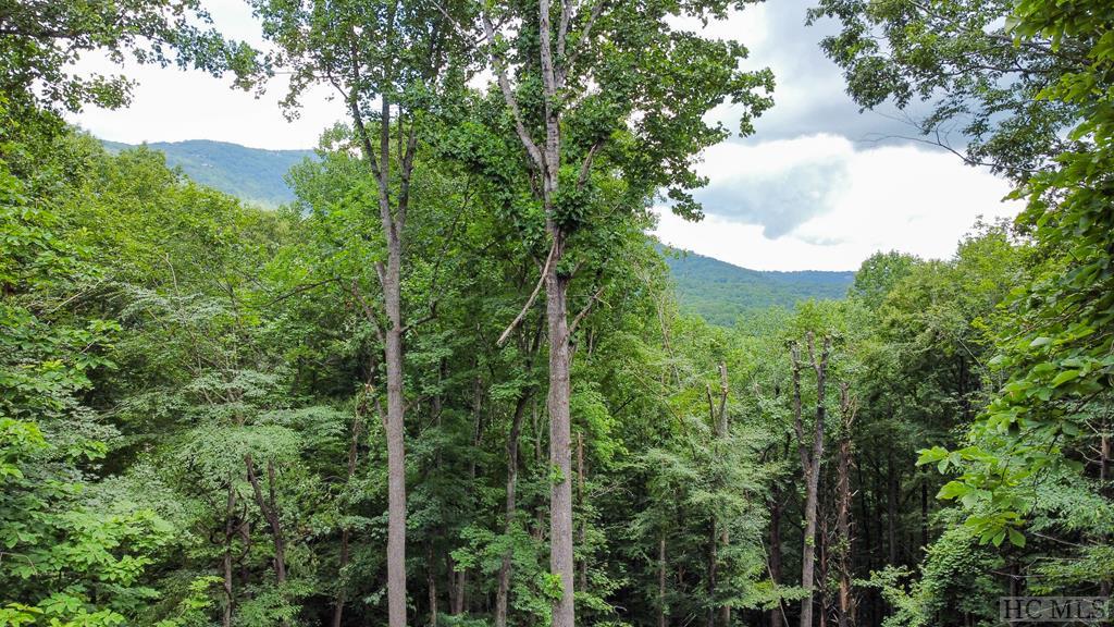 181 Narrows Road