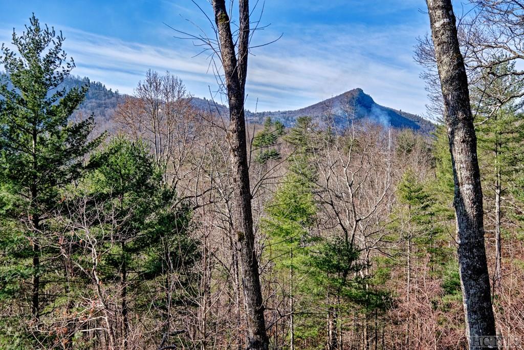81 Emerald Ridge Road 39