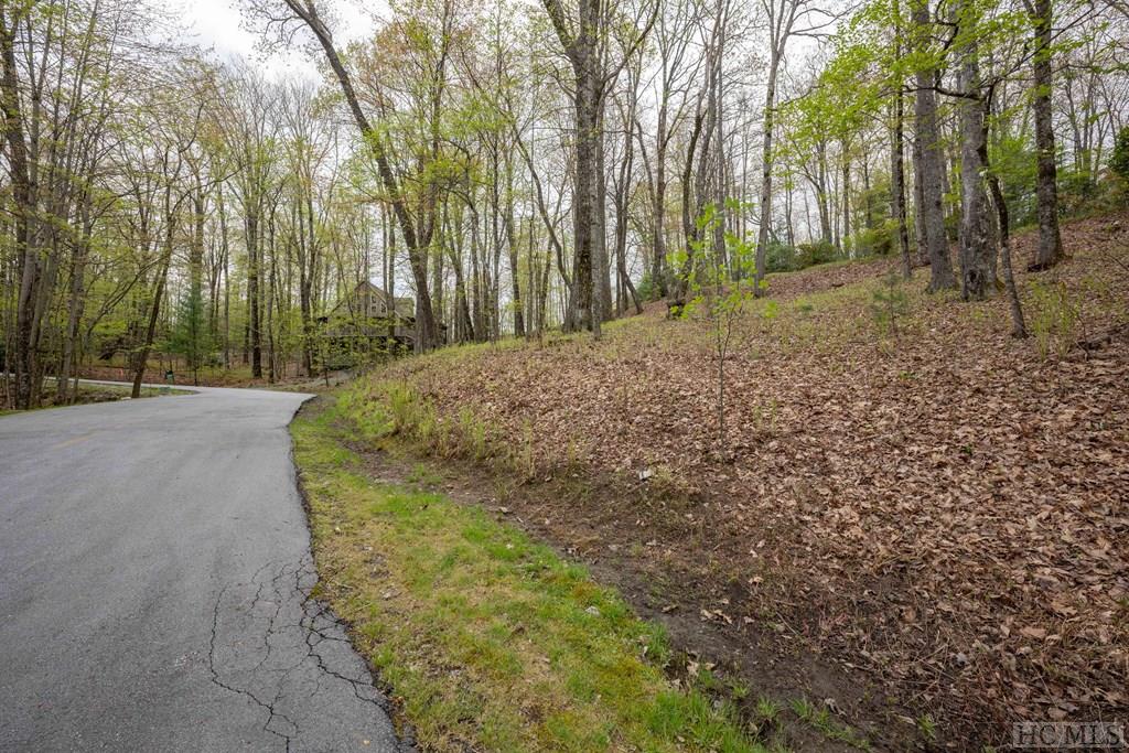 Lot 110 Golden Eagle Court