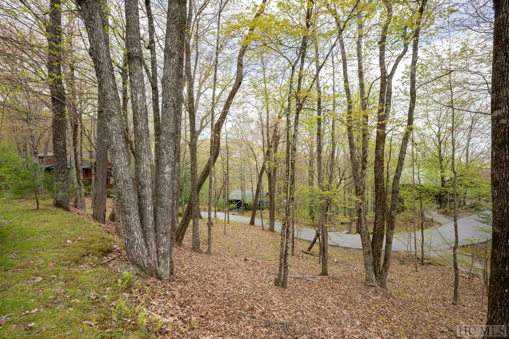 Lot 110 Golden Eagle Court