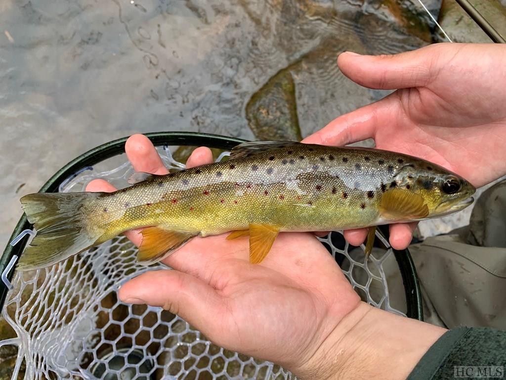 Lot 20A Mountain Waterfalls