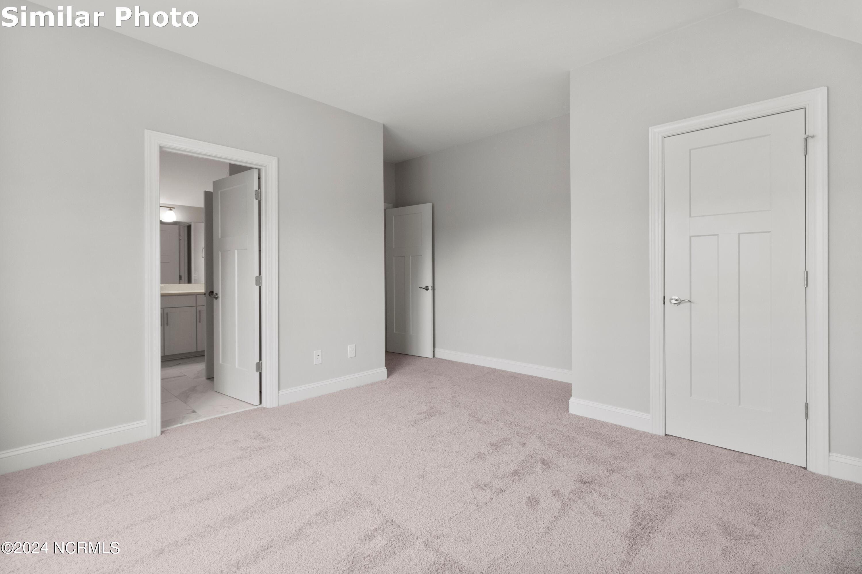 443 Northern Pintail Place