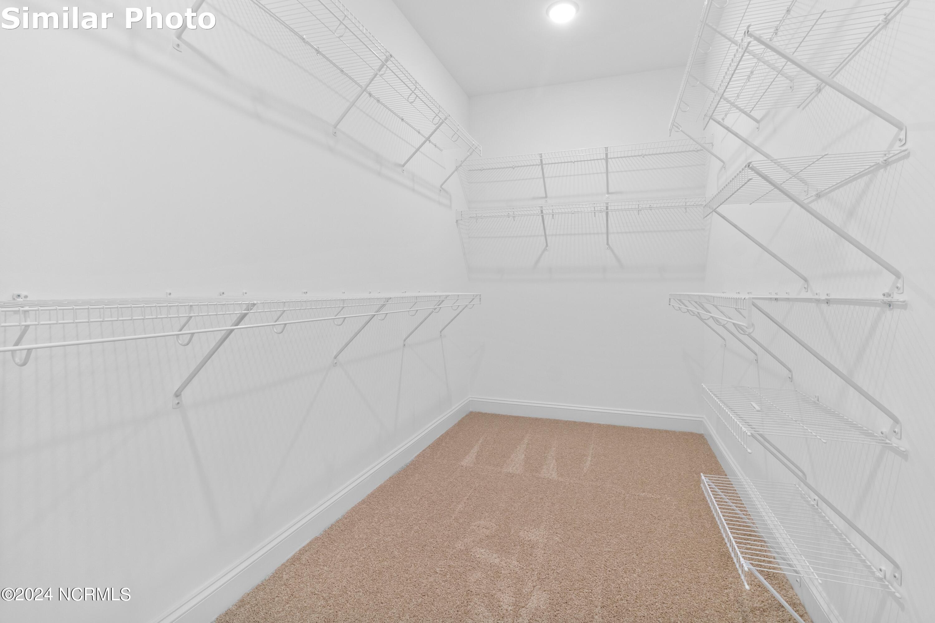 443 Northern Pintail Place