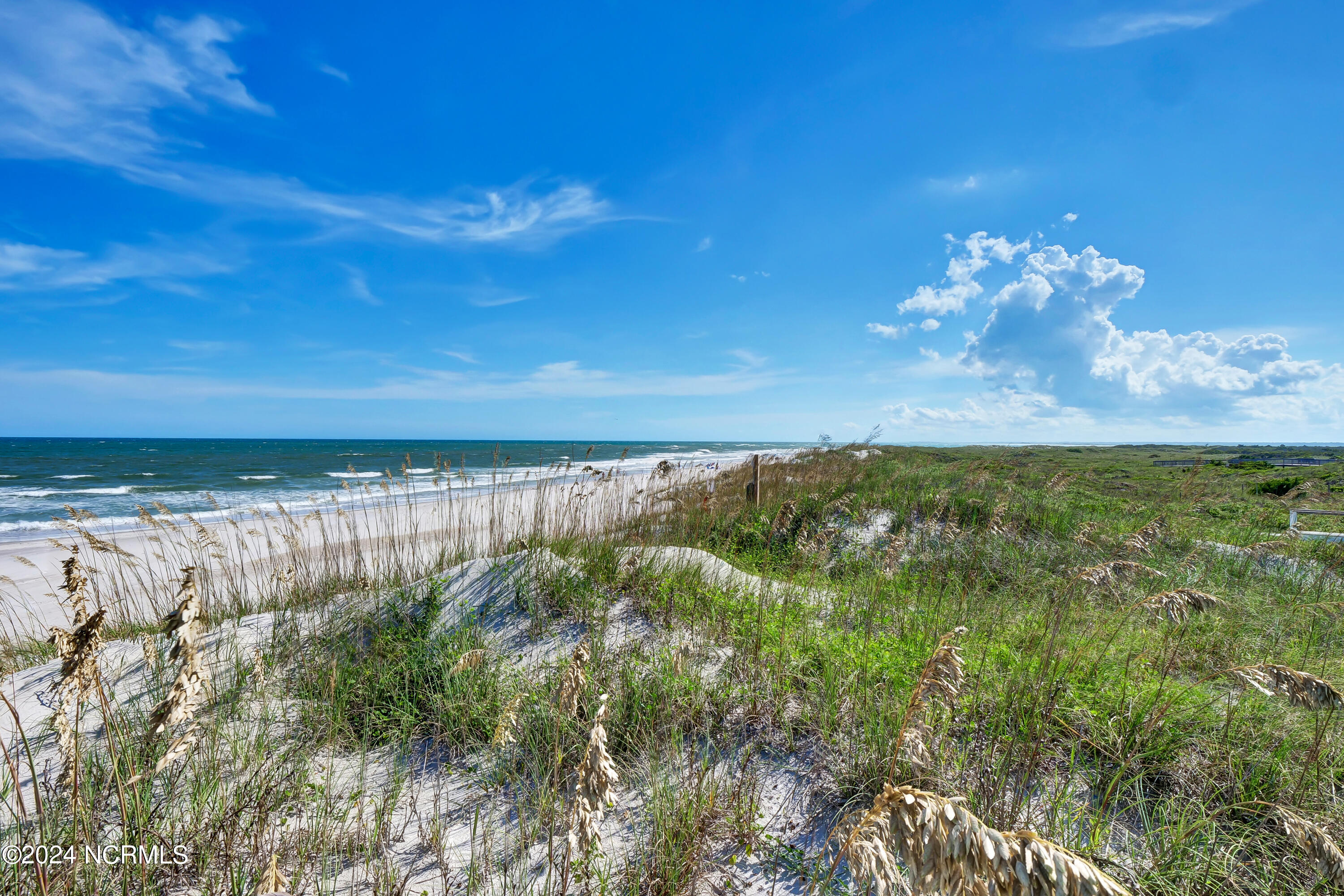 2013 Ocean Boulevard