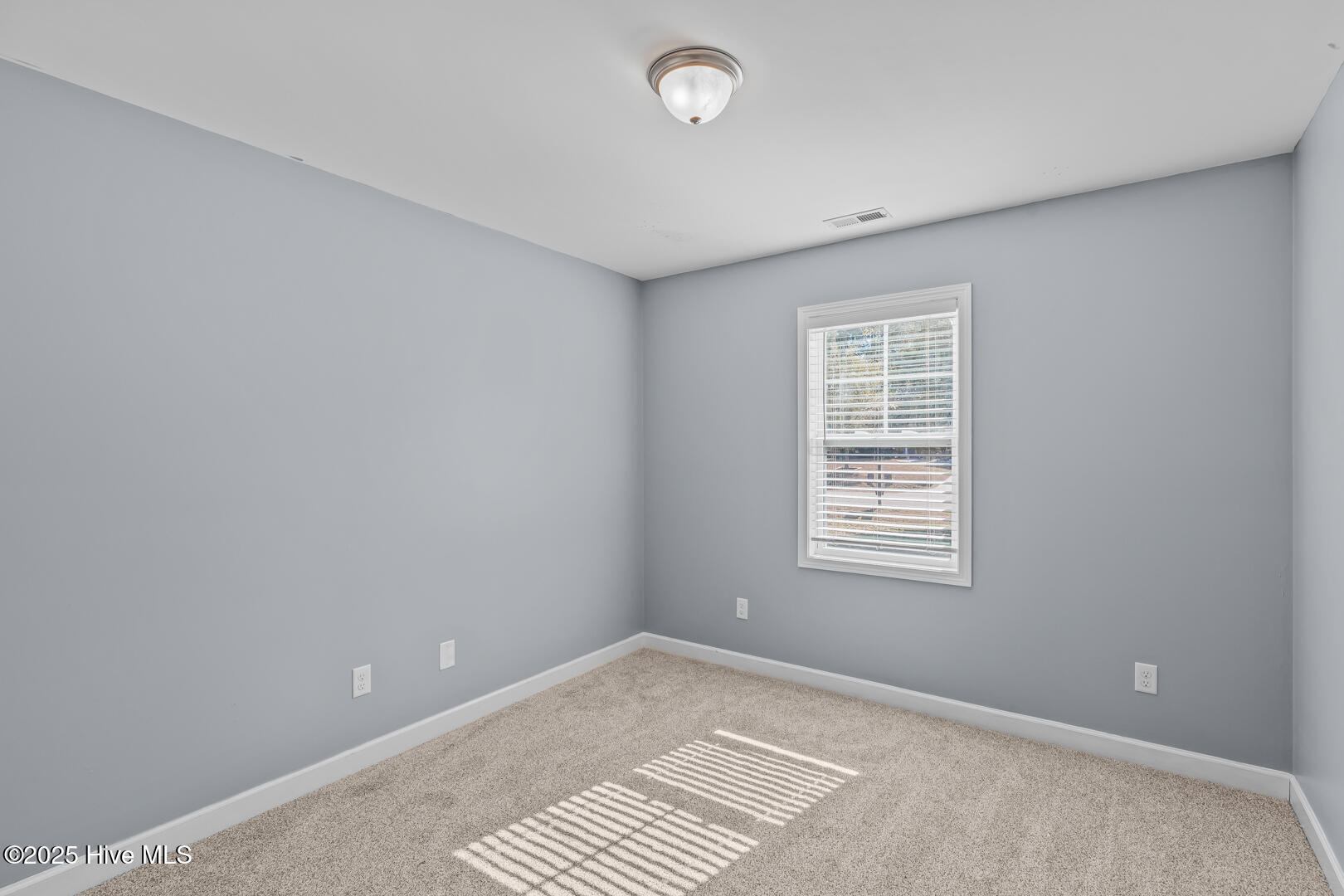 410 Blue Pennant Court