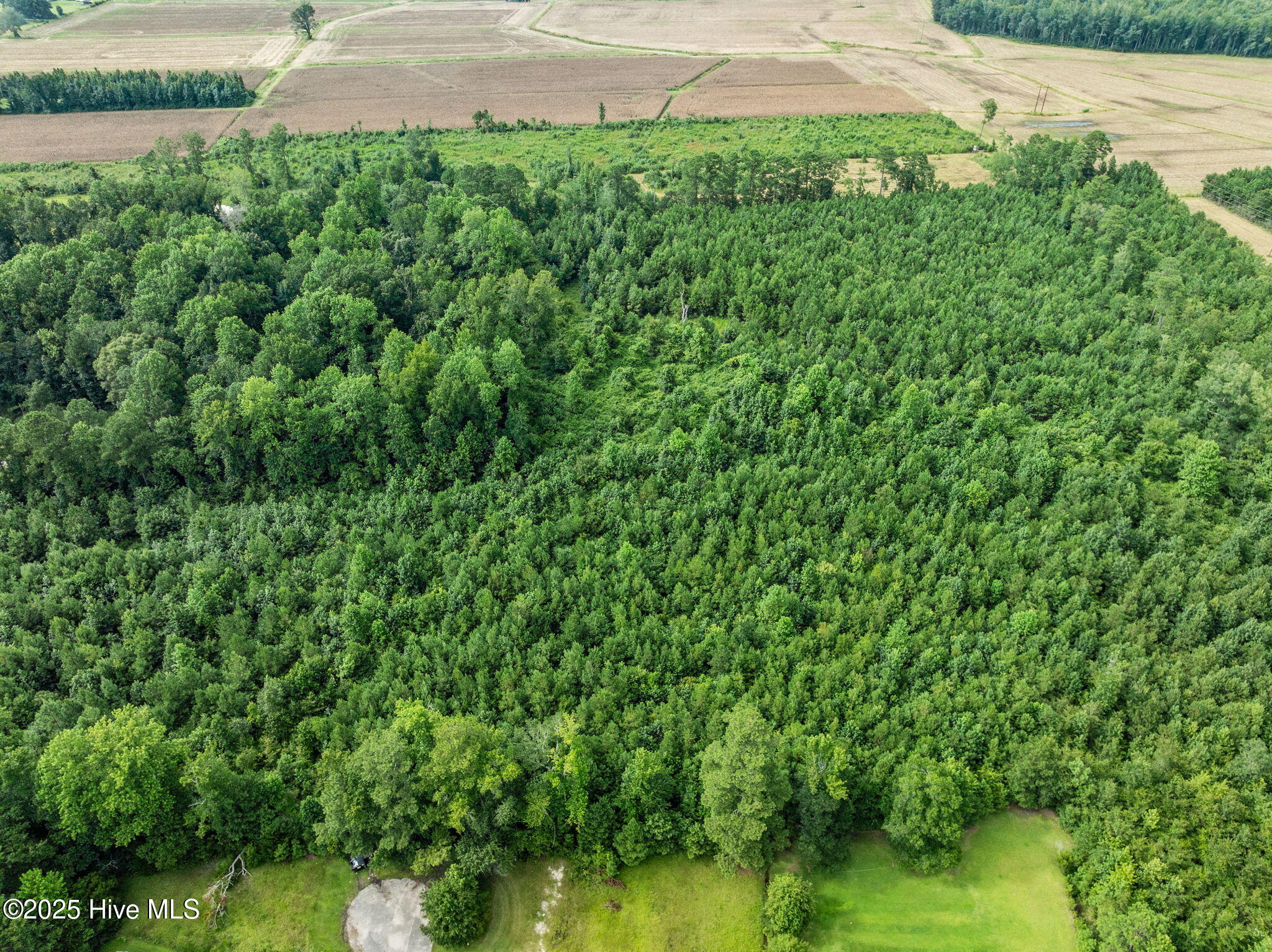 3381 1 Memory Lane S