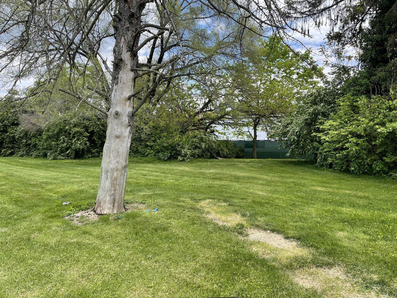 588 Rhoads Avenue, 294