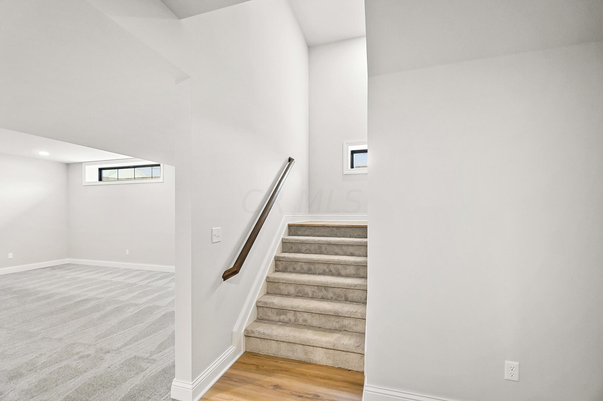 8173 Canopy Glen Drive