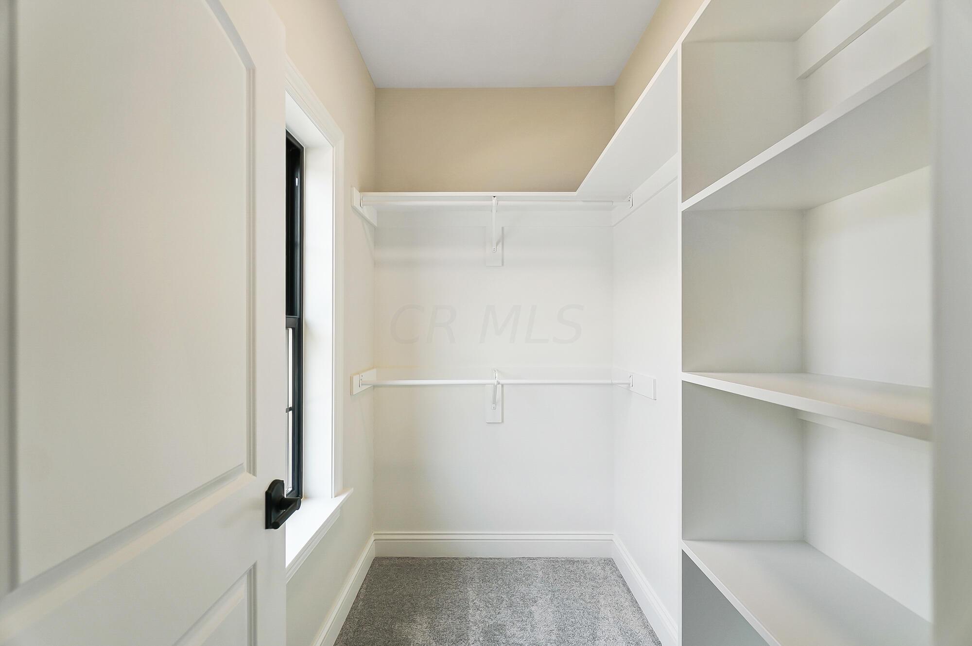 8173 Canopy Glen Drive