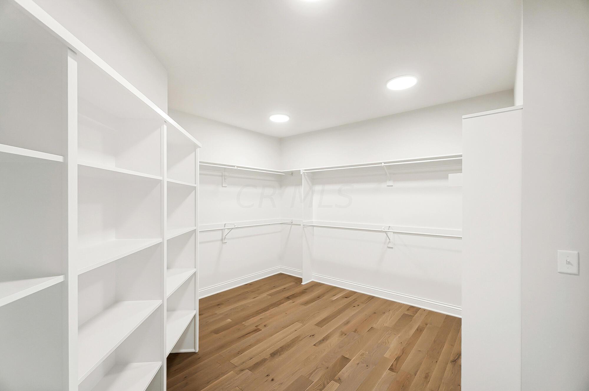 8173 Canopy Glen Drive