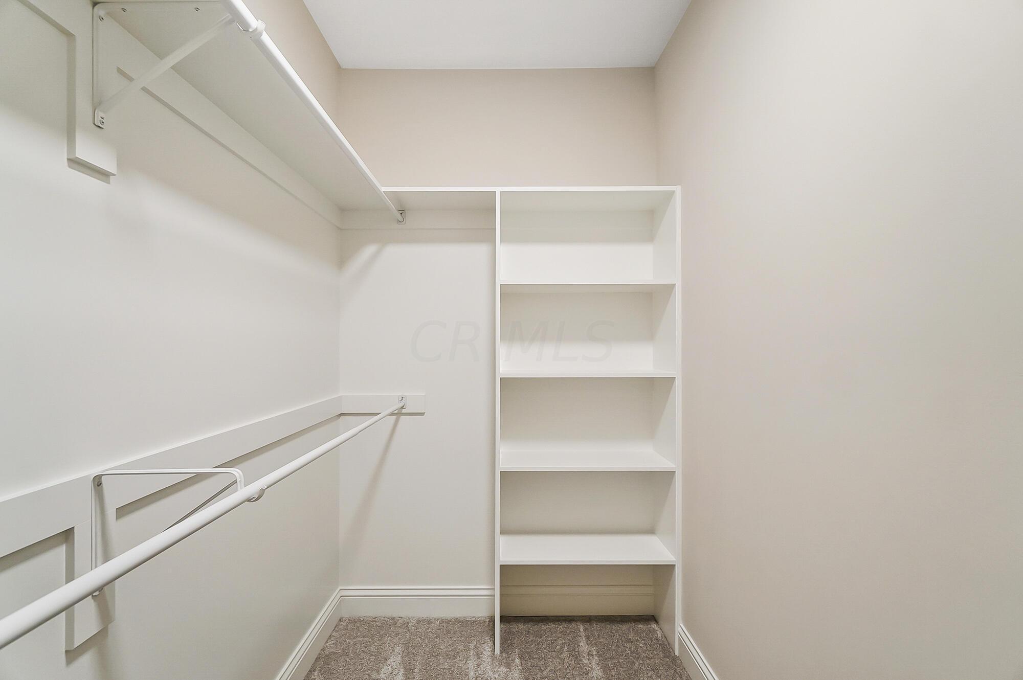 8173 Canopy Glen Drive