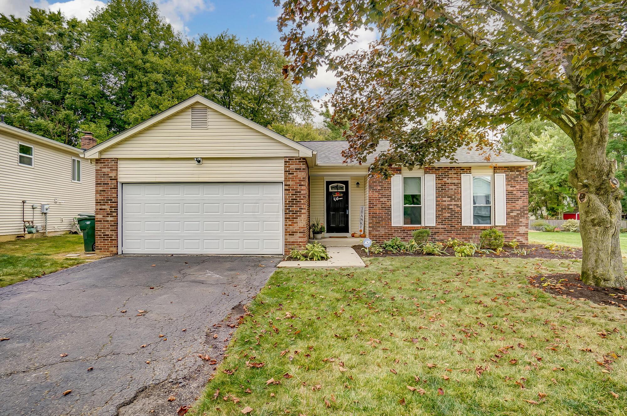 1926 Lost Valley Road