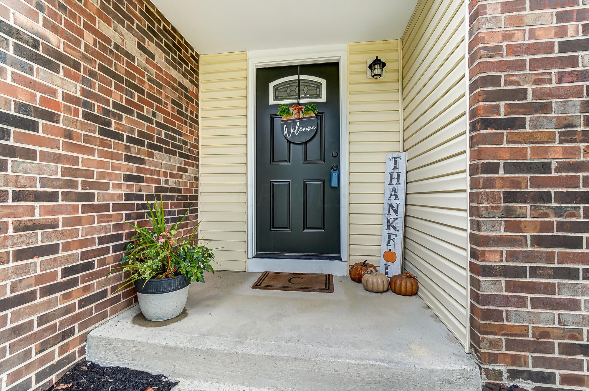 1926 Lost Valley Road