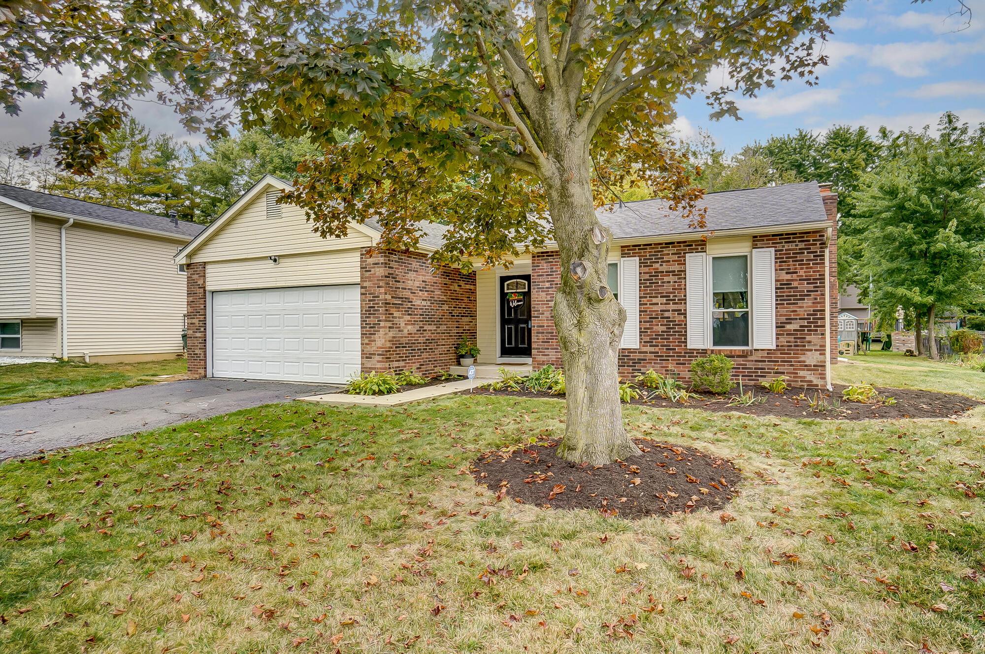 1926 Lost Valley Road