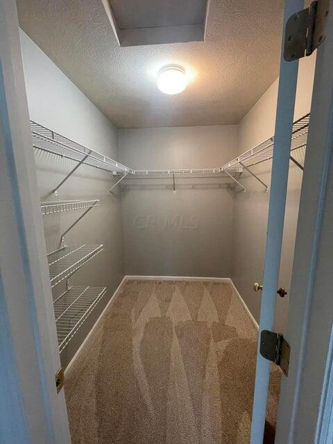 4957 Ivyvine Boulevard