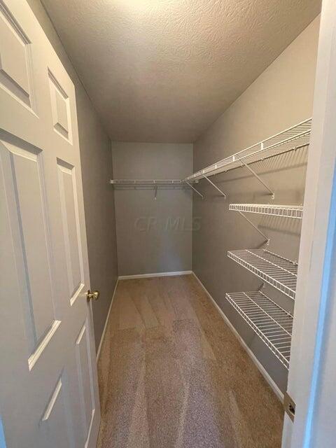 4957 Ivyvine Boulevard