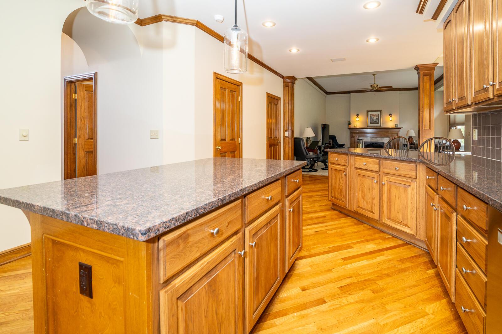 4861 Carrigan Ridge Drive
