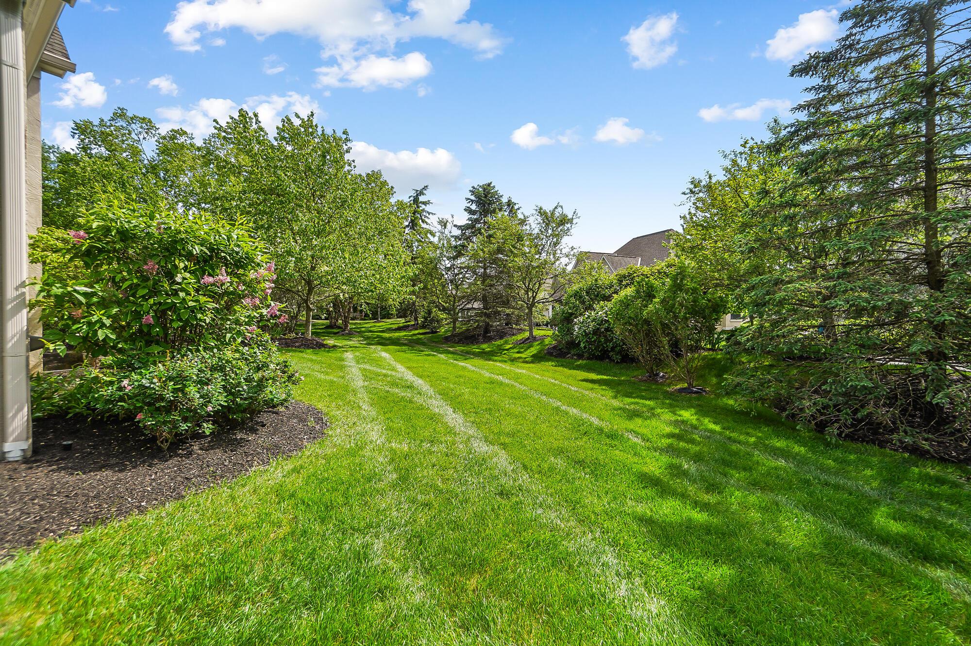 8115 Campbell Lane
