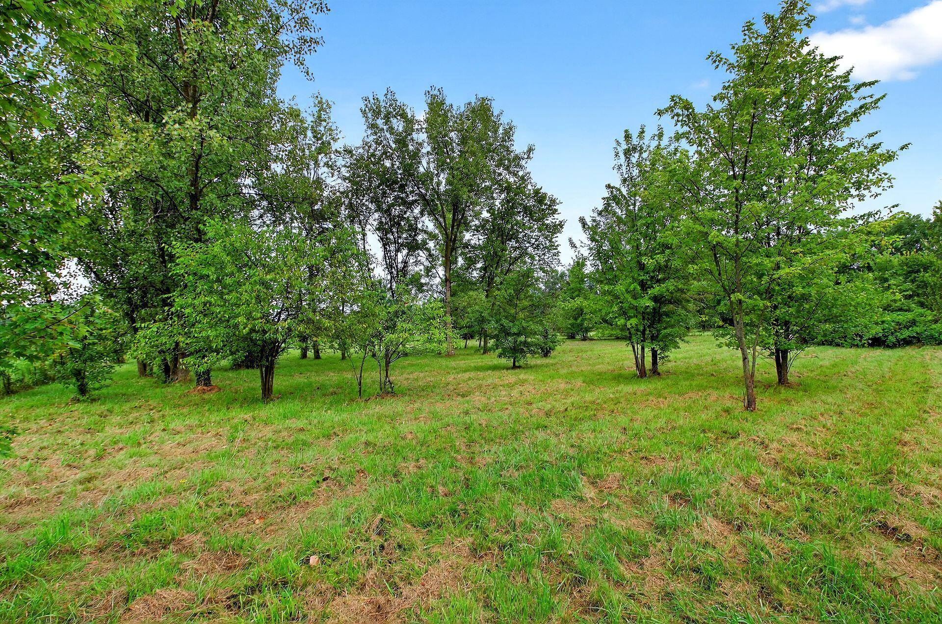 9271 Long Road