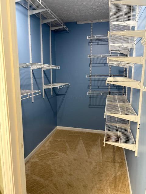 5824 Brinkwater Boulevard