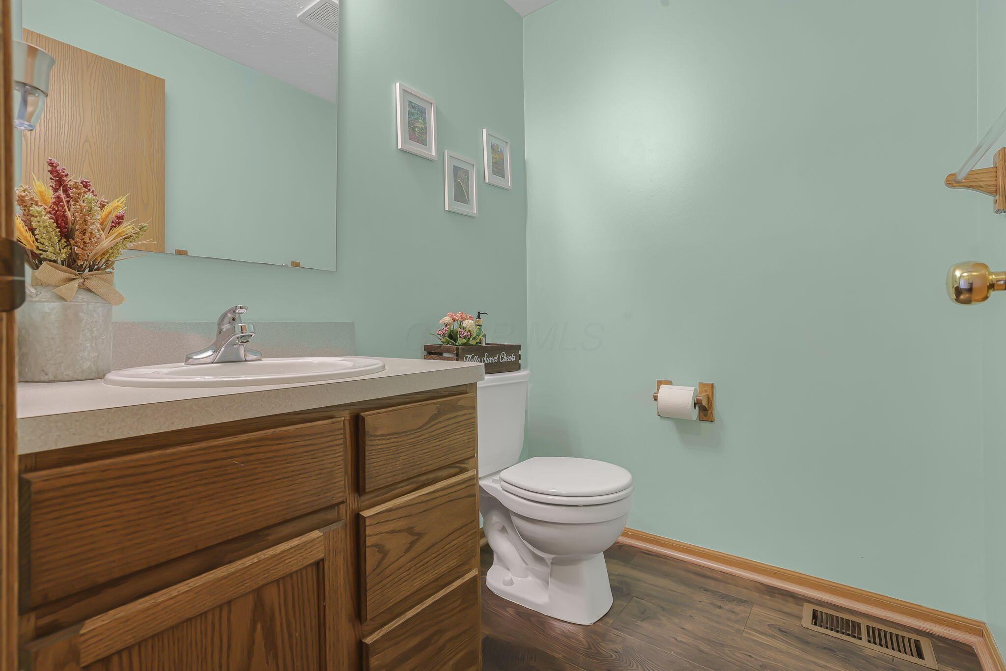 239 Peters Run Court