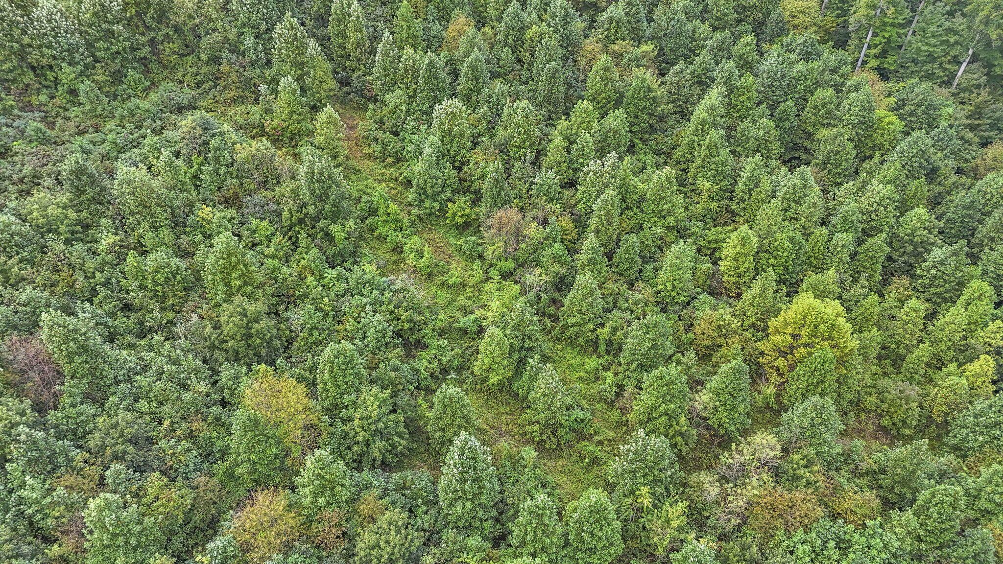 27110 Township Hwy 16 J, Lot 19, McArthur Unit: Lot 19