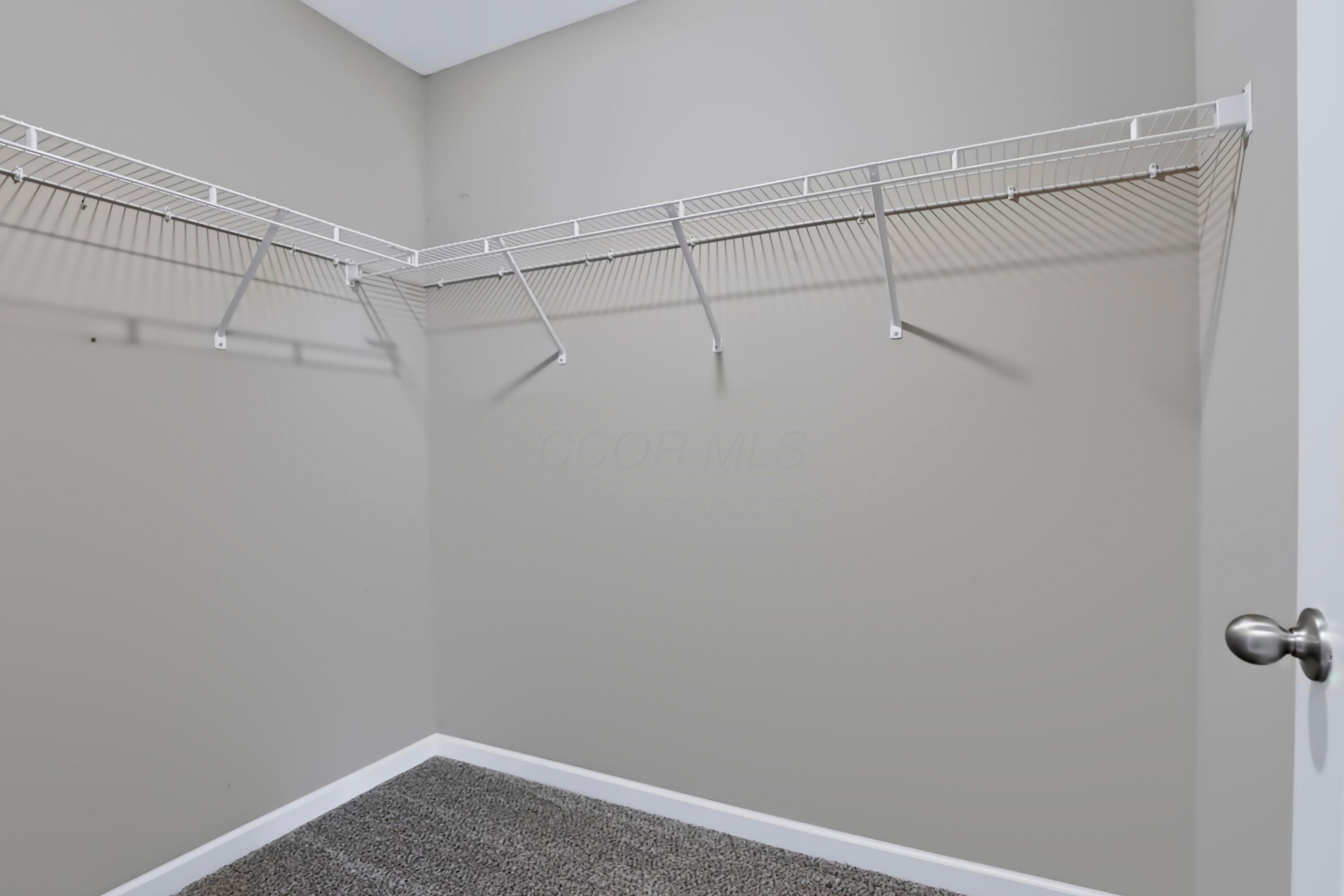 61 Scarlett Drive