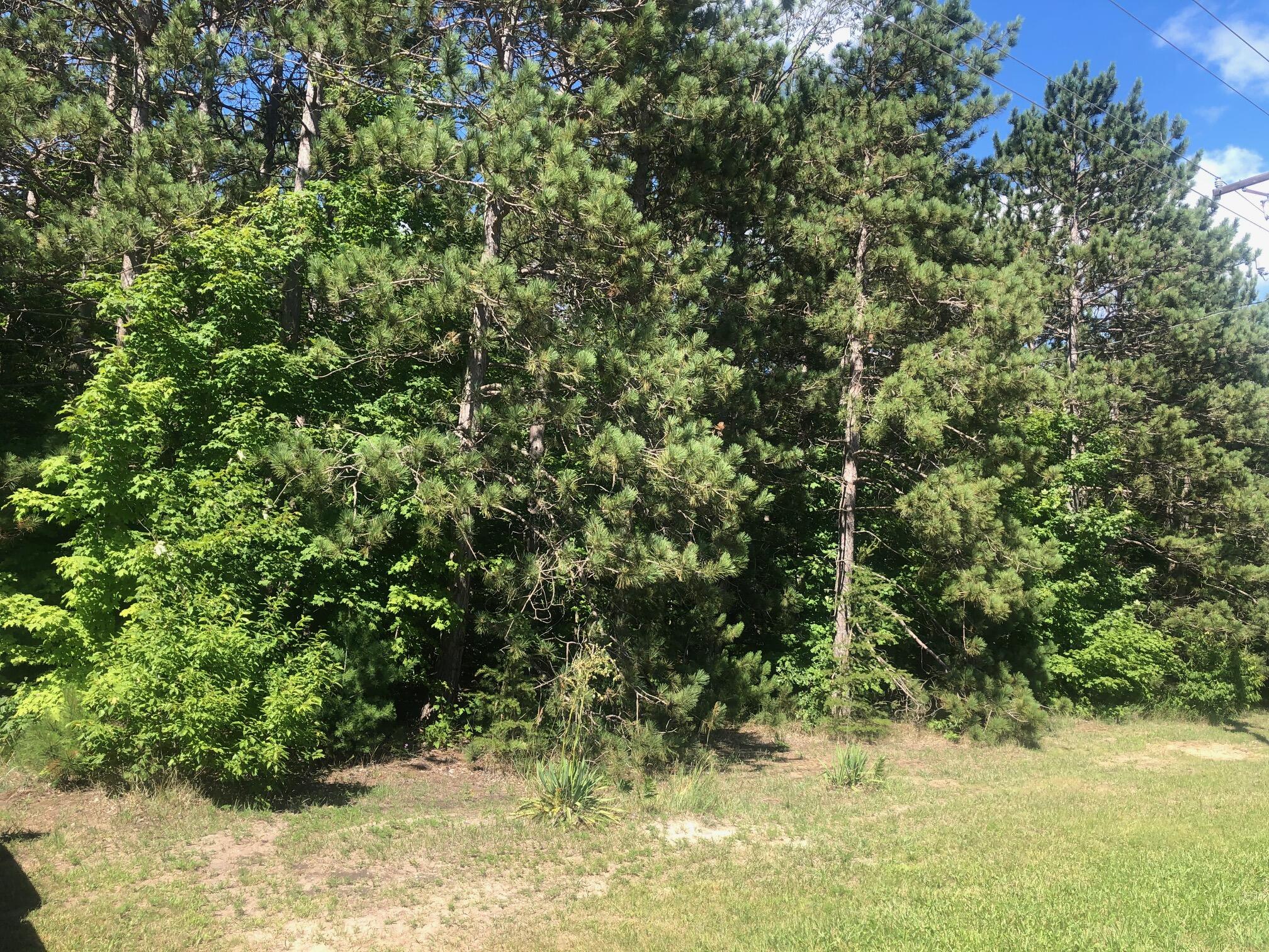 14206 Potter Rd