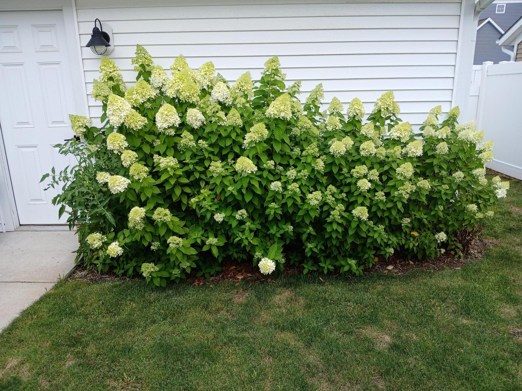 4728 Macatawa Legends Boulevard 19