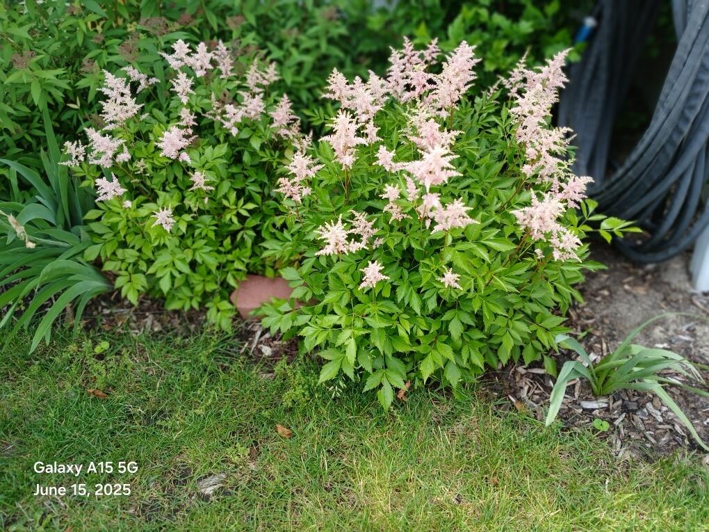 4728 Macatawa Legends Boulevard 19