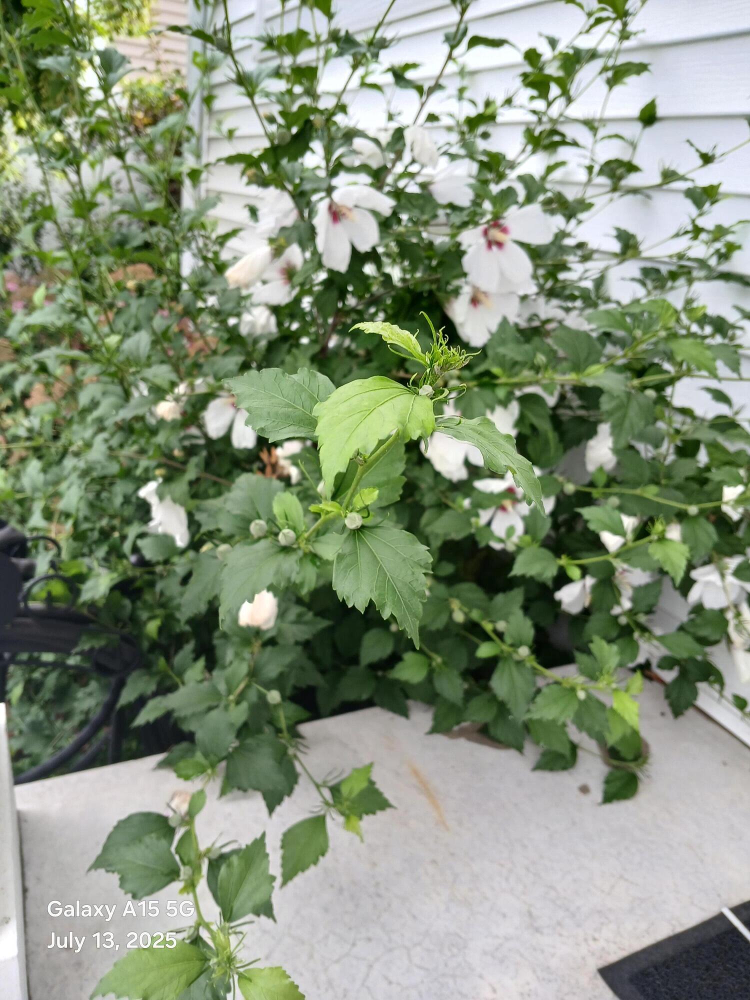 4728 Macatawa Legends Boulevard 19