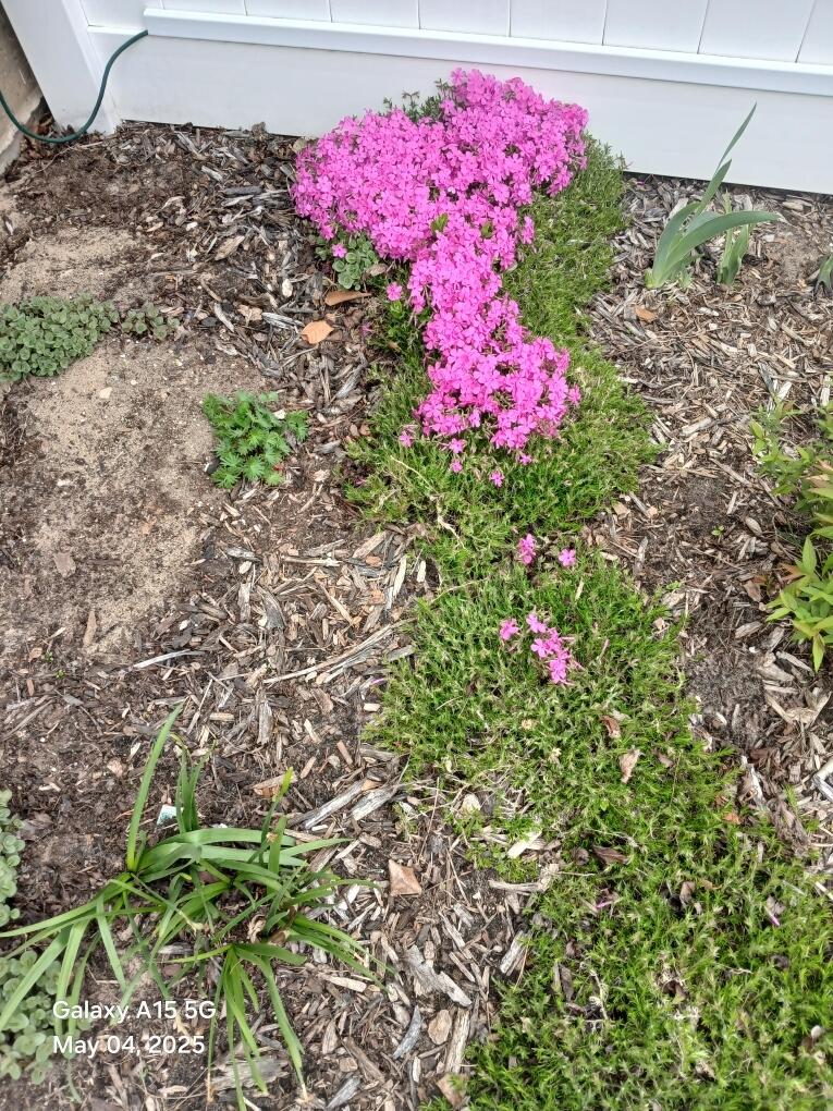 4728 Macatawa Legends Boulevard 19