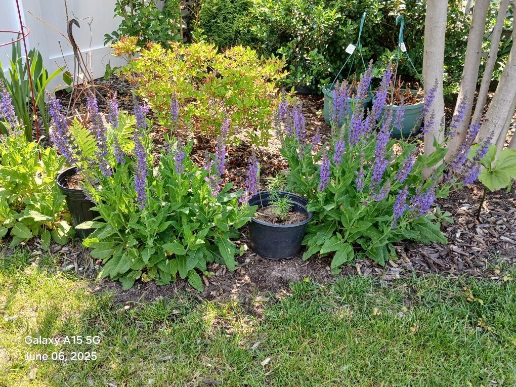 4728 Macatawa Legends Boulevard 19