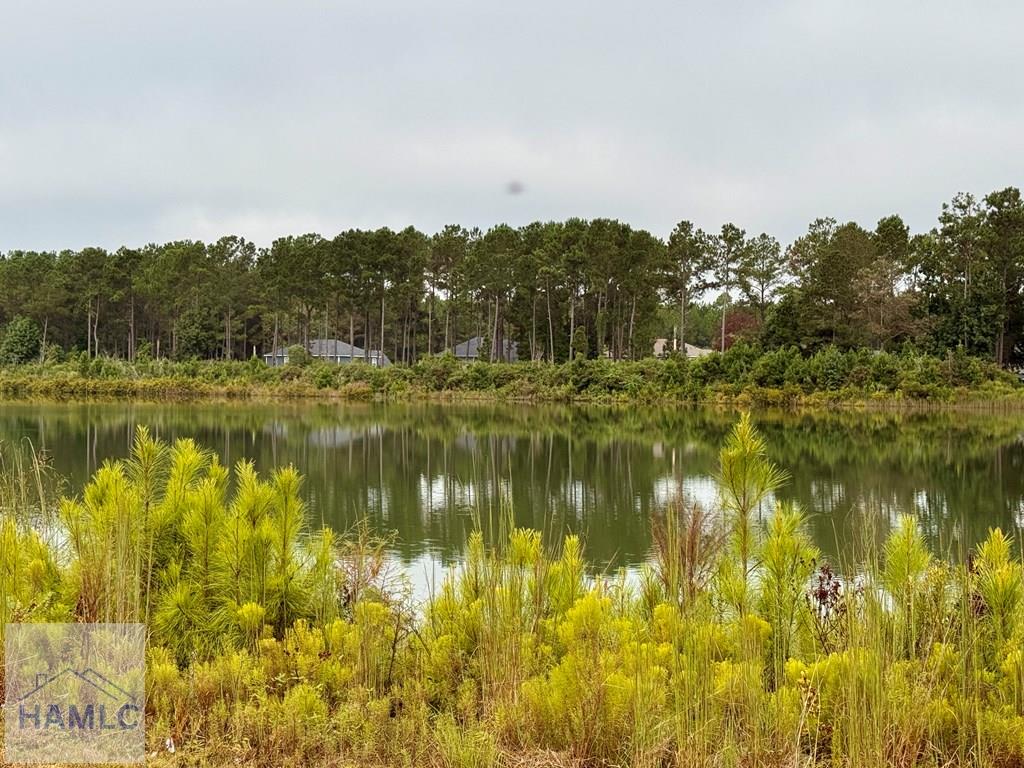 1550 Belfast River Road