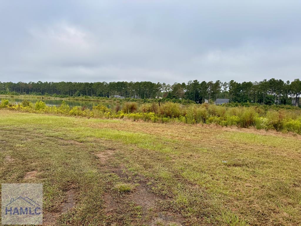 1550 Belfast River Road