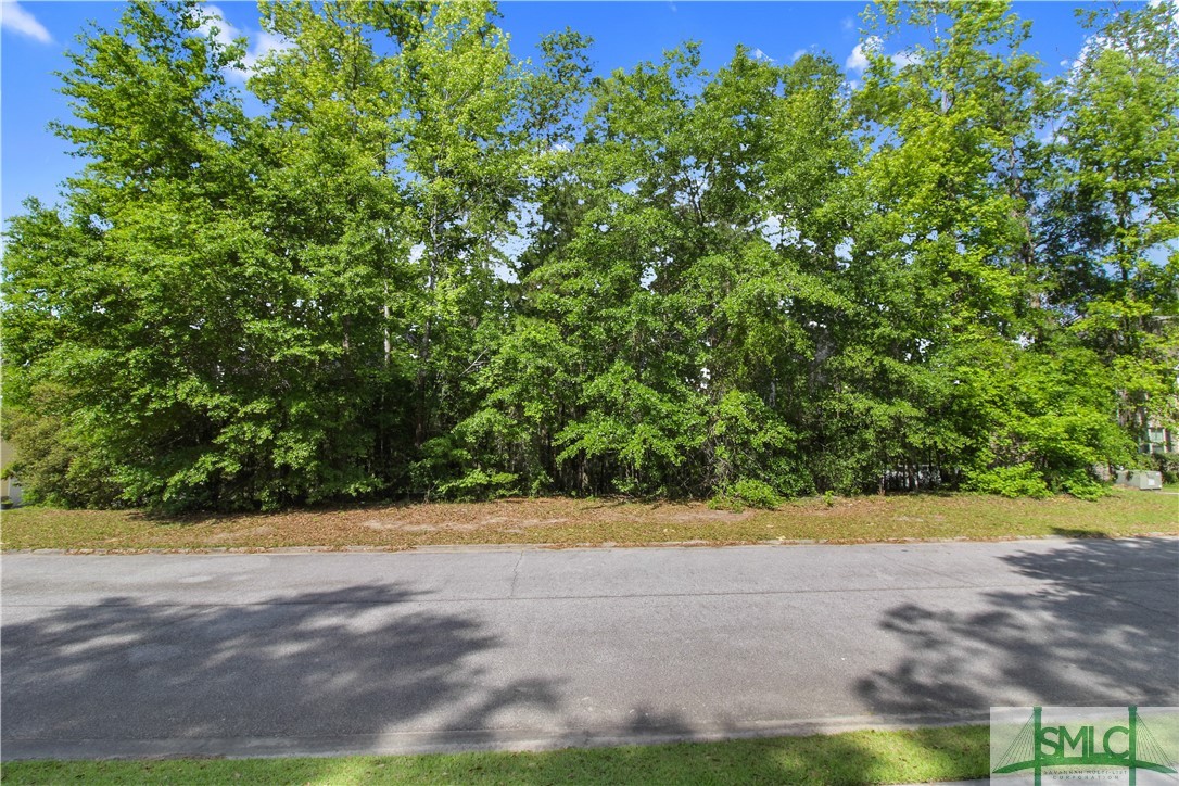 113 Crestview Drive